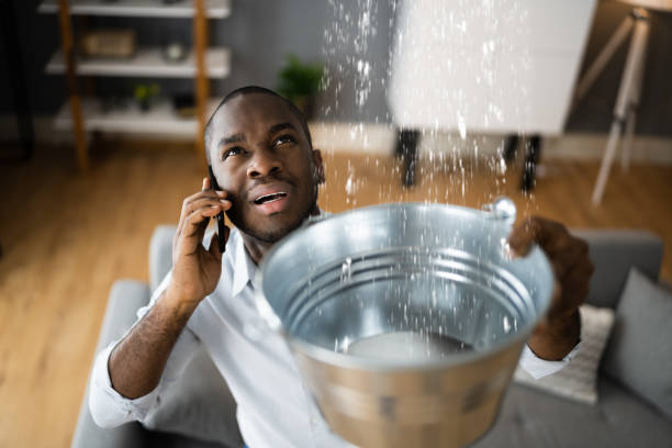 Best Residential water damage restoration  in Dearborn, MI