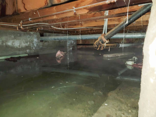 Professional Water damage restoration in Dearborn, MI