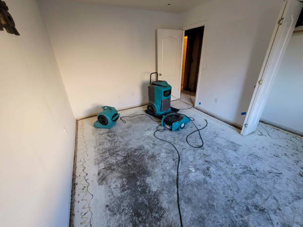 Best Commercial water damage restoration  in Dearborn, MI