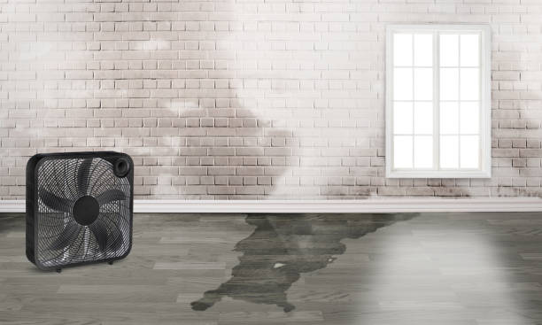 Best Professional water damage repair  in Dearborn, MI