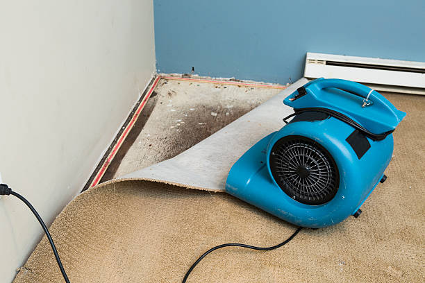 Best Flood restoration services  in Dearborn, MI